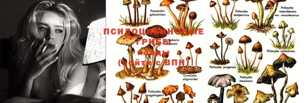 экстази Аркадак