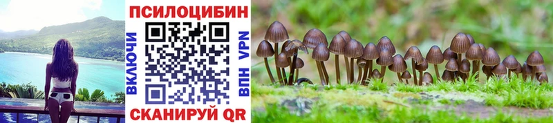 Галлюциногенные грибы MAGIC MUSHROOMS купить наркотики сайты Дыгулыбгей